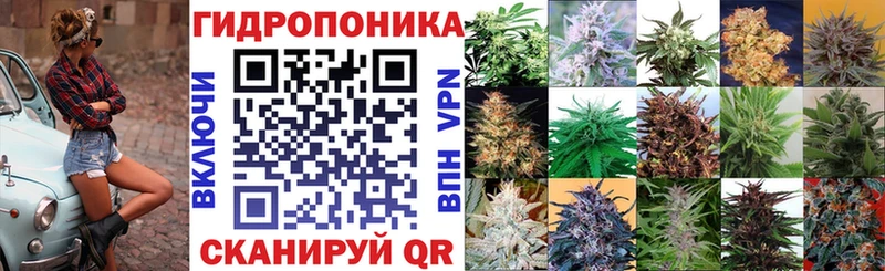 Шишки марихуана гибрид  Суоярви 